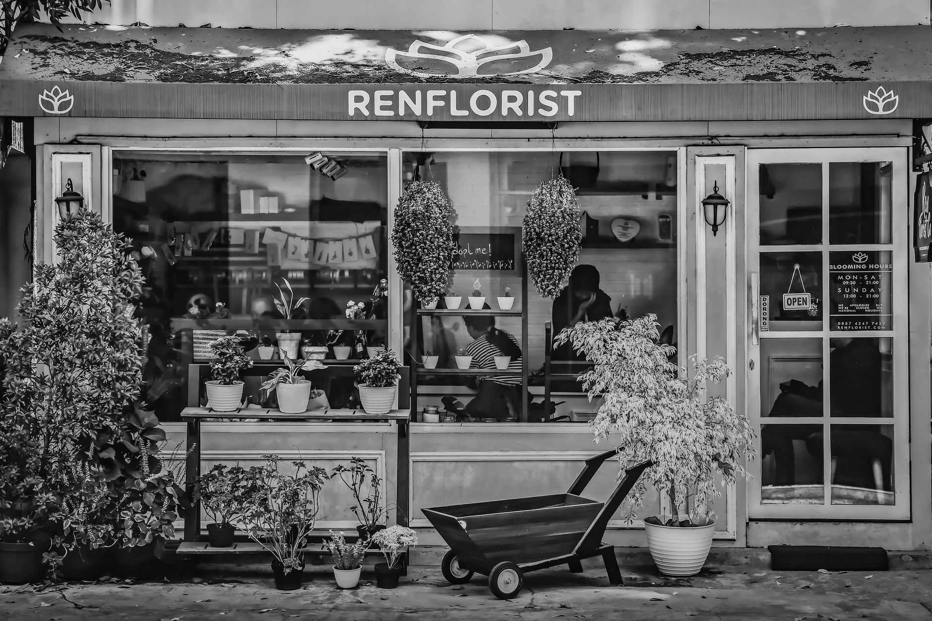 Fleuriste à Poitiers
